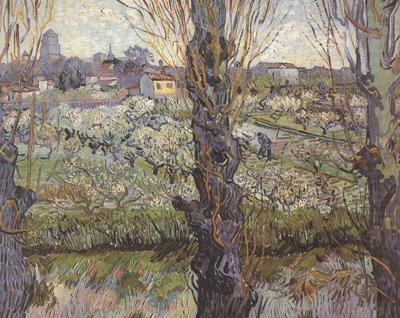 Orchard in Blossom with View of Arles (nn04), Vincent Van Gogh
